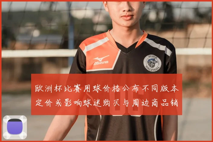 欧洲杯比赛用球价格公布不同版本定价或影响球迷购买与周边商品销量
