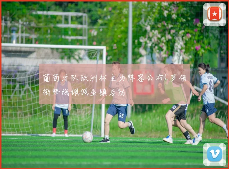 葡萄牙队欧洲杯主力阵容公布C罗领衔锋线佩佩坐镇后防