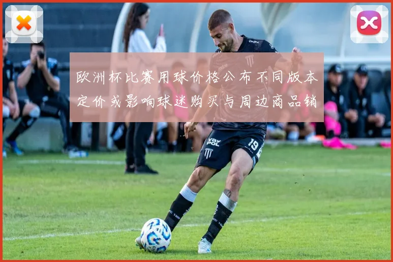 欧洲杯比赛用球价格公布不同版本定价或影响球迷购买与周边商品销量