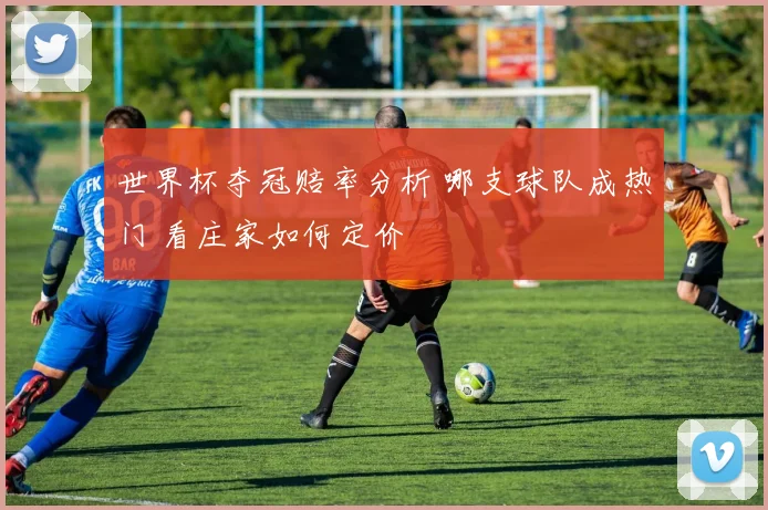 世界杯夺冠赔率分析 哪支球队成热门 看庄家如何定价